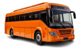 bus